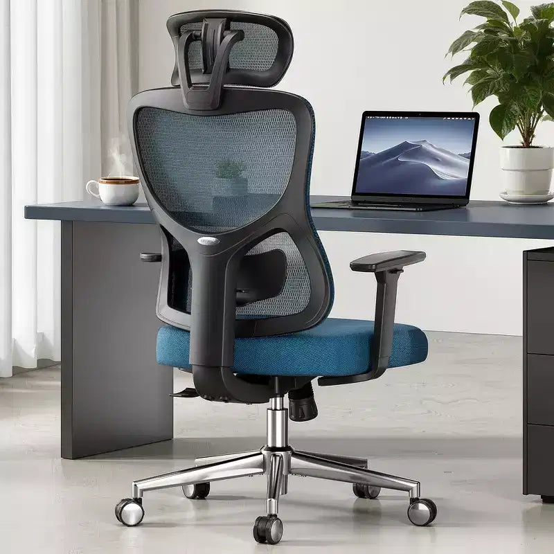 MAYEERTY Ergonomic Mesh Home Office Chair - With Headrest, Adjustable Lumbar Support & 3D Armrests (Blue)